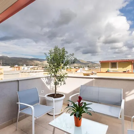 Trisina アヴォラ